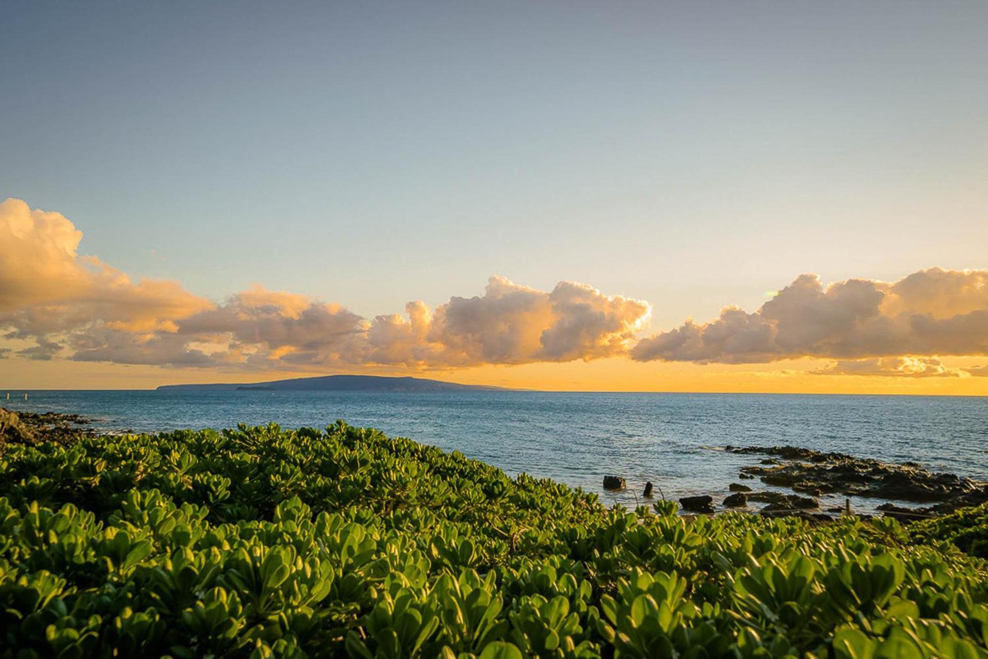 Pacific Shores A-209 Kihei Buitenkant foto